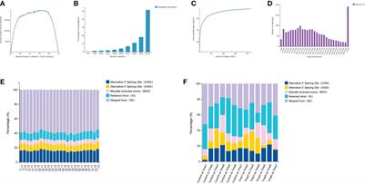 The spatiotemporal profile of Dendrobium huoshanense and functional identification of bHLH genes under exogenous MeJA using comparative transcriptomics and genomics